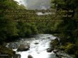 Details for the 'Psalm 1:3' free image, background, wallpaper