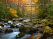 Details for the 'Psalm 1:3' free image, background, wallpaper