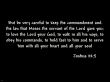 Details for the 'Joshua 22: 5' free image, background, wallpaper