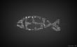Details for the 'Jesus Fish' free image, background, wallpaper
