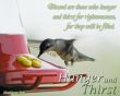 Details for the 'Matthew 5:6' free image, background, wallpaper