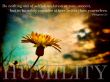 Details for the 'Philippians 2:3' free image, background, wallpaper