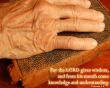 Details for the 'Proverbs 2:6' free image, background, wallpaper