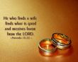 Details for the 'Proverbs 18:22' free image, background, wallpaper