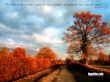 Details for the 'Psalms 18:30' free image, background, wallpaper