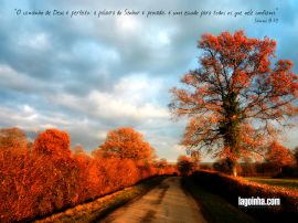 Details for 'Psalms 18:30'christian wallpaper, christian background