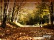 Details for the 'Psalms 18:30' free image, background, wallpaper