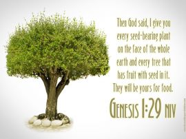 Genesis 1:29 christian wallpaper, christian background