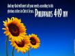 Details for the 'Philippians 4:19' free image, background, wallpaper