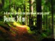 Details for the 'Proverbs 3:6' free image, background, wallpaper
