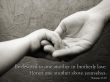 Details for the 'Romans 12:10' free image, background, wallpaper