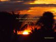 Details for the 'Psalm 113:3' free image, background, wallpaper