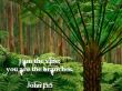 Details for the 'John 15:5'' free image, background, wallpaper