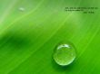 Details for the 'John 16:24b' free image, background, wallpaper