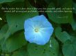 Details for the 'James 3:17' free image, background, wallpaper