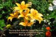 Details for the 'Proverbs 29:14' free image, background, wallpaper
