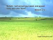 Details for the 'Malachi 2:3' free image, background, wallpaper