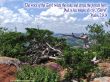 Details for the 'Psalm 29:9' free image, background, wallpaper