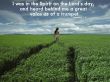 Details for the 'Revelation 1:10' free image, background, wallpaper