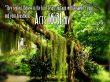 Details for the 'Acts 16:31' free image, background, wallpaper