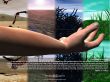 Details for the 'Matthew 13:1-9' free image, background, wallpaper