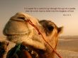 Details for the 'Mark 10:25' free image, background, wallpaper