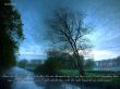 Details for the 'Isaiah 41:10' free image, background, wallpaper