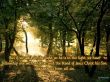 Details for the '1 John 1:7' free image, background, wallpaper