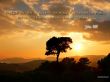Details for the 'John 3:17' free image, background, wallpaper