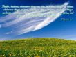 Details for the 'Philippians 4:8' free image, background, wallpaper