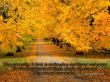 Details for the 'Revelation 4:11' free image, background, wallpaper