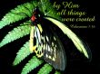 Details for the 'Colossians 1:16' free image, background, wallpaper