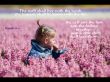 Details for the 'Isaiah 11:6' free image, background, wallpaper