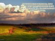 Details for the 'Hosea 10:12' free image, background, wallpaper