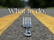 Details for the 'What To Do ' free image, background, wallpaper