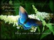 Details for the 'Revelation 4:11' free image, background, wallpaper