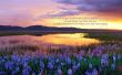 Details for the 'Zephaniah 3:17' free image, background, wallpaper