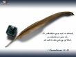 Details for the '1 Corithians 10:31' free image, background, wallpaper