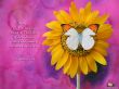 Details for the 'Ephesians 2:10' free image, background, wallpaper