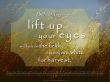 Details for the 'John 4:35-38' free image, background, wallpaper