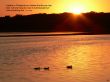 Details for the 'I Believe - C. S. Lewis' free image, background, wallpaper