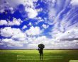 Details for the 'Malachi 3:10' free image, background, wallpaper
