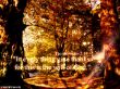 Details for the 'Thessalonians 5:18' free image, background, wallpaper