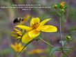Details for the 'Jude 1:21' free image, background, wallpaper