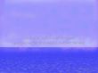Details for the 'Love like ocean' free image, background, wallpaper