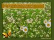 Details for the 'Mark 12:30' free image, background, wallpaper