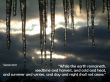 Details for the 'Genesis 8:22' free image, background, wallpaper
