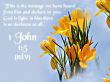Details for the '1 John 1:5' free image, background, wallpaper