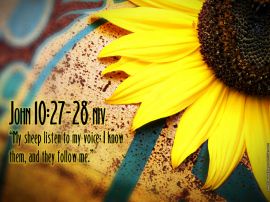 Details for the 