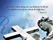 Details for the 'Romans 5:9' free image, background, wallpaper